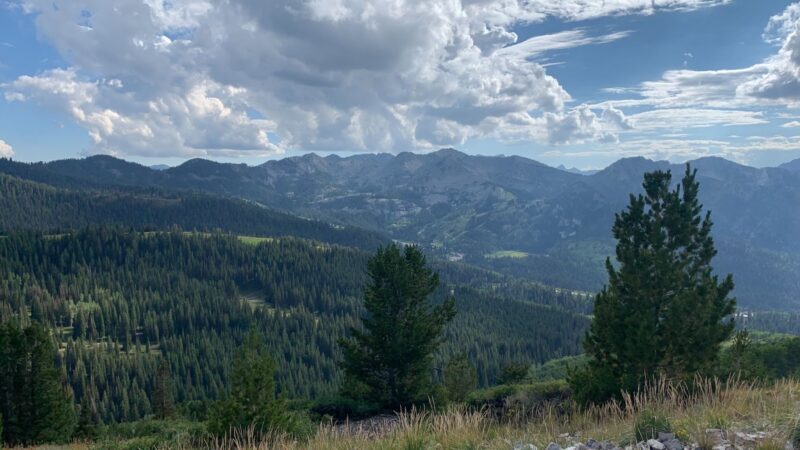 1-800x450-2.jpeg